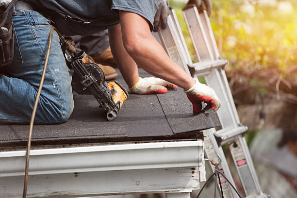 Best Flat Roof Repair Services  in Ames, IA
